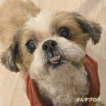 毎日元気な下出っ歯