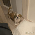 びっくりさせてごめんね