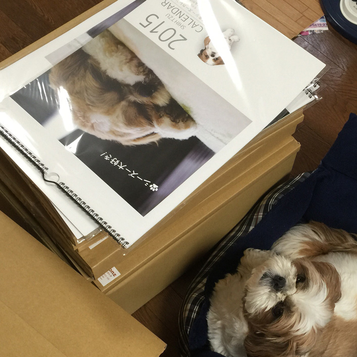 ぽんかぼカレンダー、発送中