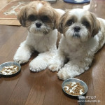 カレンダー続報です