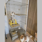 ついに猫ケージ購入！後編