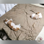 ちらかった、おもちゃ。