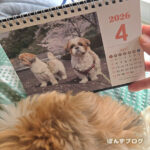 放射線ヨード治療から１ヶ月、抑うつ状態が続きます