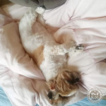 ほんのちょっとしたこと。