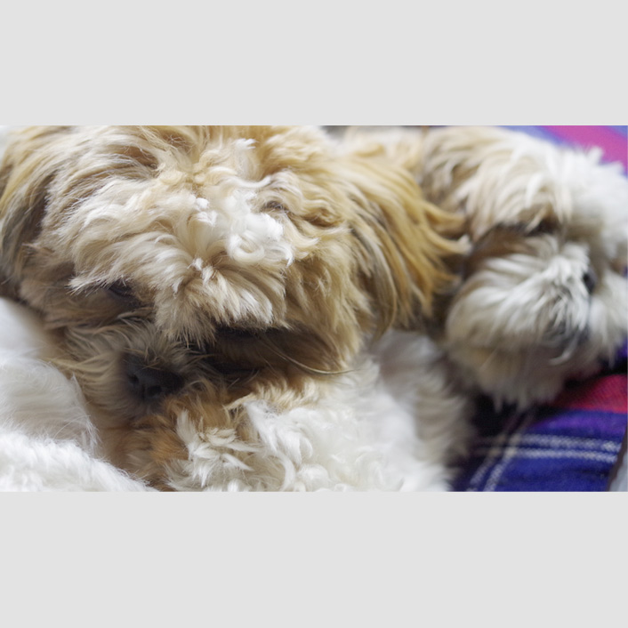 超仲良しショット集！