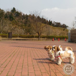 愛くるしいベストショット！