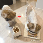 かぼす、ちょっとだけ食べない期