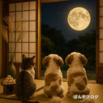 中秋の名月！並んでお月見？