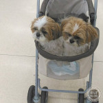 お客さん、落ち着いて～。