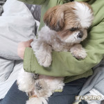 抱っこで寝ちゃう子、固まる子。