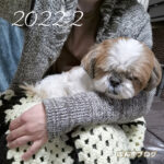 抱っこ姿に癒されました