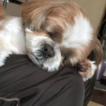 寝心地、いいの？？