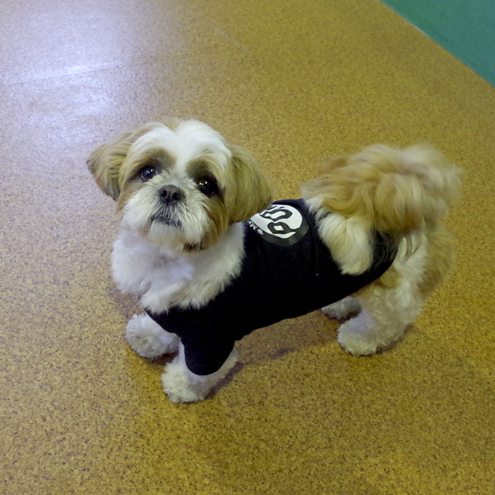 あいかわらずの犬見知りっぷり。