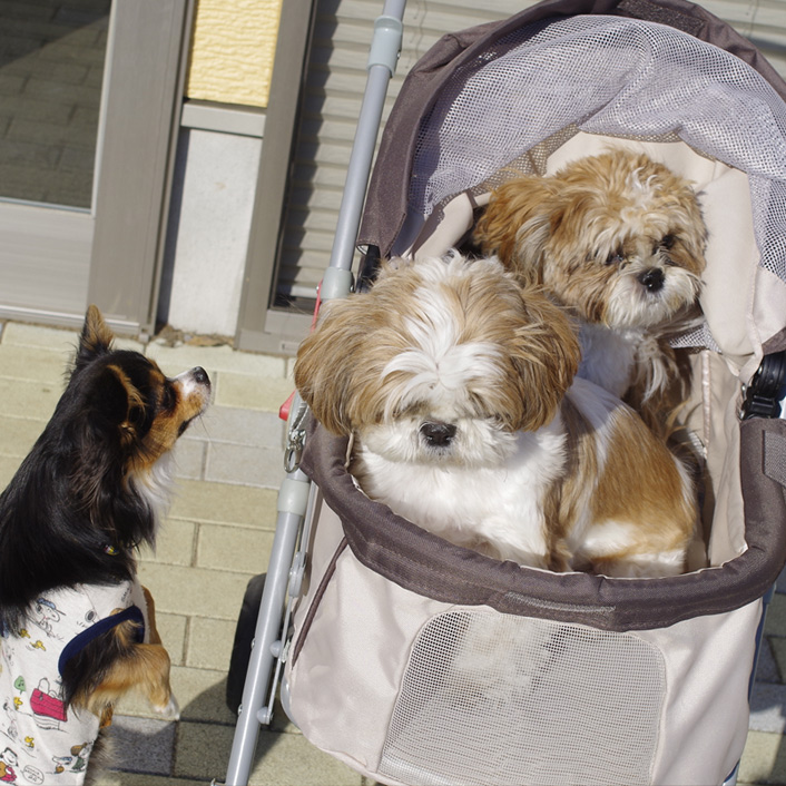 隅っこが、すきなんだ。