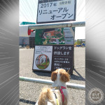 カインズにドッグラン！