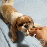 雨の日ドタバタ