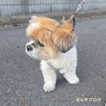 みんな、童顔。