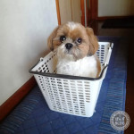 これなーにー？