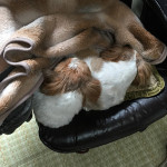 寝起きは、何を？