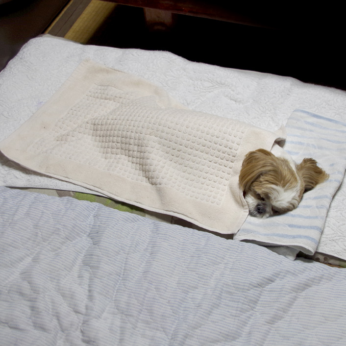 お腹、冷やさないようにね。