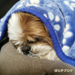 寒い寒いと言うけれど。