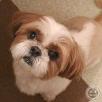 もうちょっと、続けてみようね