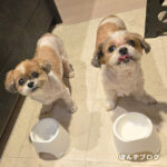 みんな、吐かなくなりました