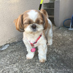 芸術的な？ストライキ