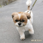 ５月は寒さでスタートです