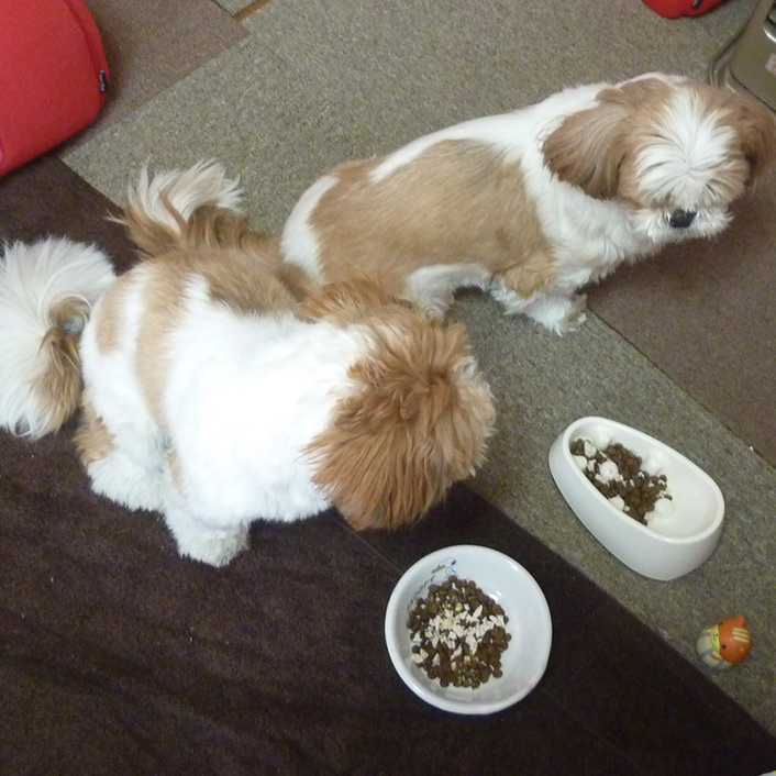 今日も、ひと苦労