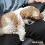 週間天気、要チェックです