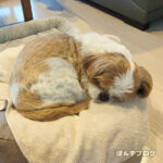 あっという間にGWも終わりです