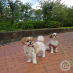 久しぶりで、うれしいね！