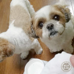 嫌がるけど、甘噛み。