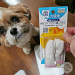 フィンガー歯ブラシ