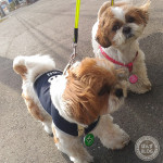 吹き荒れる春一番！