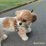 は、春一番かぼ？！