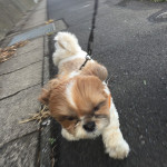 どんと来るかぼ春一番