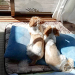 長い１日が明けました。