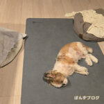 昼と夜で、だいぶ違うね