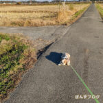 もっとあるくぽんずよ！