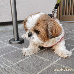 北風が冷たいよ～