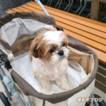 にんげん、だいすき。