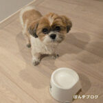 ごはんの時のひと手間が・・・