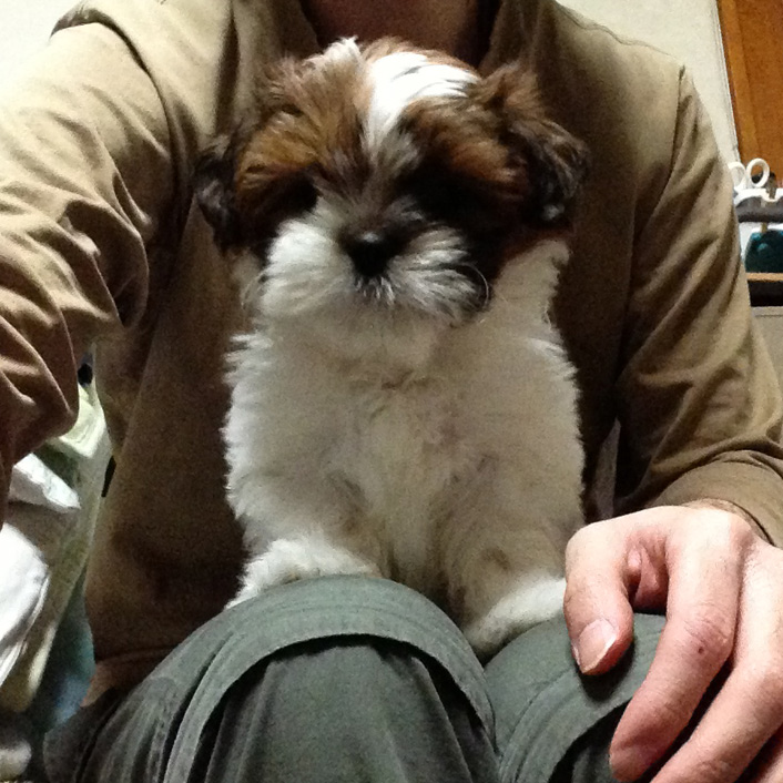 遊び場？寝床？