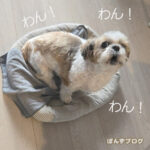 主従関係の『主』はどこに・・・