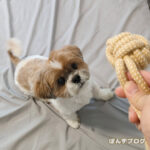 110円の楽しみ。