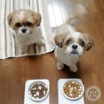 台風通過から１夜明け。