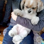 かぼす、治ったみたいです(^^)