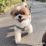 へっへっへ～っと♪